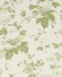 Preview: Chantilly Ivory/Leaf Green – Tapete von Colefax and Fowler