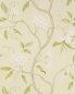 Preview: Snow Tree Ivory – Tapete von Colefax and Fowler