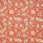 Preview: Cassandra Tomato – Stoff von Colefax and Fowler