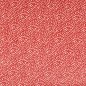 Preview: Kemble Coral – Stoff von Colefax and Fowler