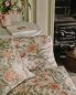 Preview: Montilly von Colefax and Fowler im Raum