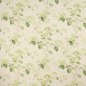 Preview: Summerby von Colefax and Fowler in Leaf Green