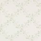 Preview: Trefoil Trellis Tapete von Colefax and Fowler in Celadon