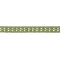 Preview: Arlington Butterfly Braid Leaf Green – Zierborte von Colefax and Fowler