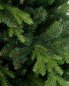 Preview: Pinus Nadelbild, Detail