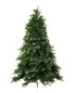 Preview: Weihnachtsbaum Pinus 215 cm von Flamant, Freisteller