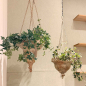 Preview: hängender Pflanztopf Saleeba von Flamant
