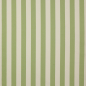 Preview: Jane Churchill Alda Stripe Streifenstoff in Green