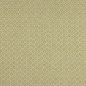 Preview: Jane Churchill Delaney Chenillestoff in Green