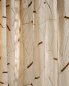 Preview: Bindu von Larsen – Ambiente