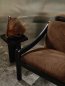 Preview: Wenge von Larsen – Ambiente