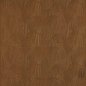 Preview: Wenge von Larsen in Wood