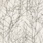 Preview: Wintertree Ebenholz – Tapete von Larsen