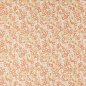 Preview: Manuel Canovas Fiorella Stoff in Corail