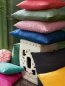 Preview: Iris von Manuel Canovas im Raum