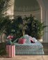 Preview: Java von Manuel Canovas im Raum