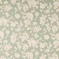 Preview: Manuel Canovas Thais Stoff in Celadon