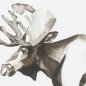 Preview: Aquarell Elch aus dem Set Watercolor Woodlands, Detail