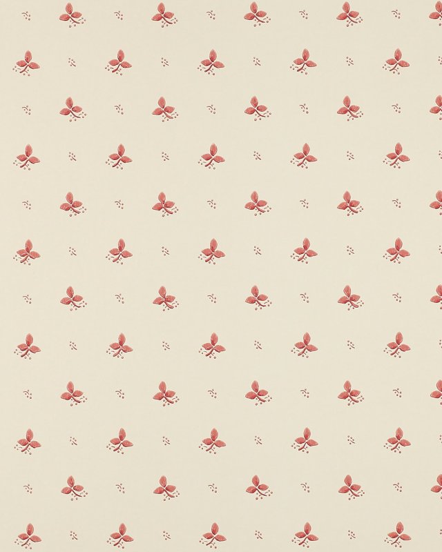 Preview: Ashling Pink – Tapete von Colefax and Fowler