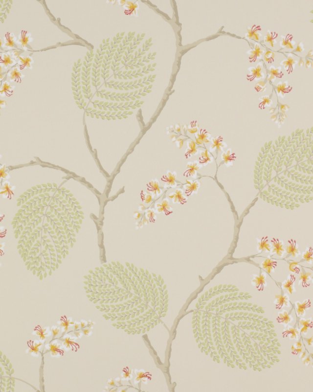 Preview: Atwood Coral/Green – Tapete von Colefax and Fowler