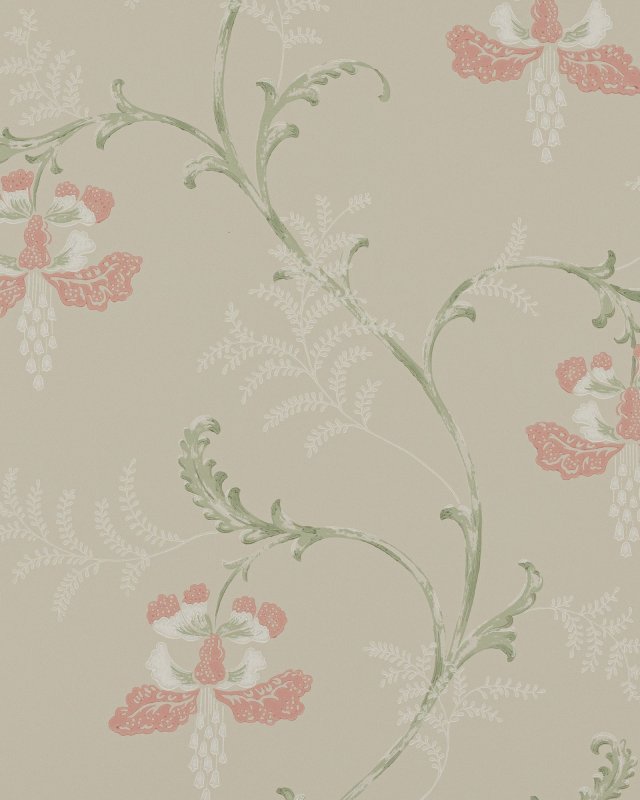 Bellflower Pink/Green – Tapete von Colefax and Fowler