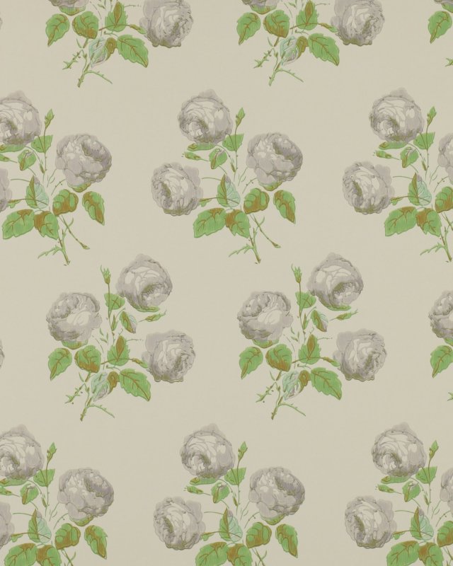 Bowood Grey/Green – Tapete von Colefax and Fowler