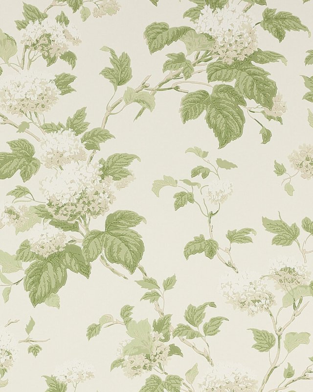 Preview: Chantilly Ivory/Leaf Green – Tapete von Colefax and Fowler