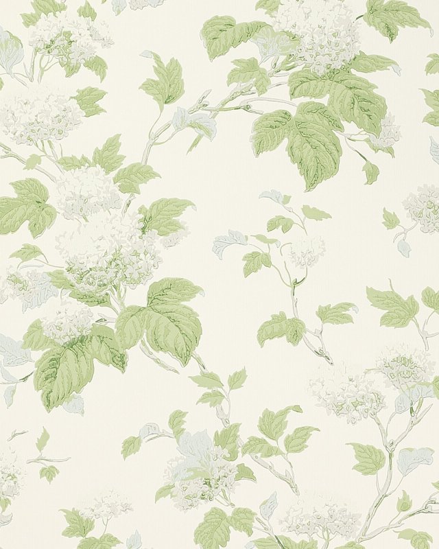 Chantilly Silver/Forest Green – Tapete von Colefax and Fowler