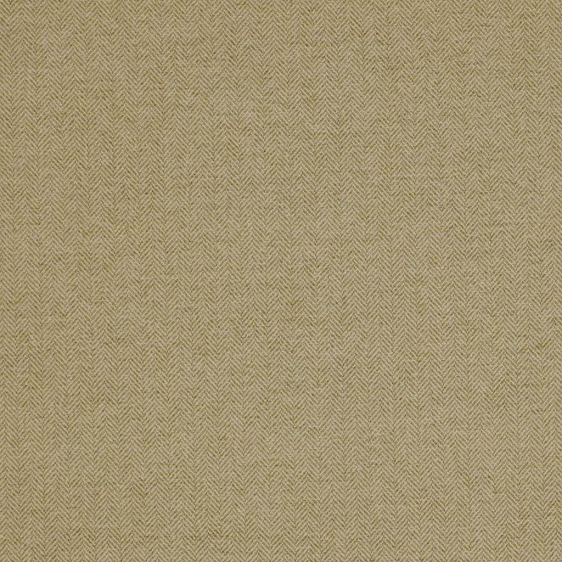 Bantry von Colefax and Fowler in Sage