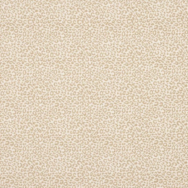Baxter von Colefax and Fowler in Sand