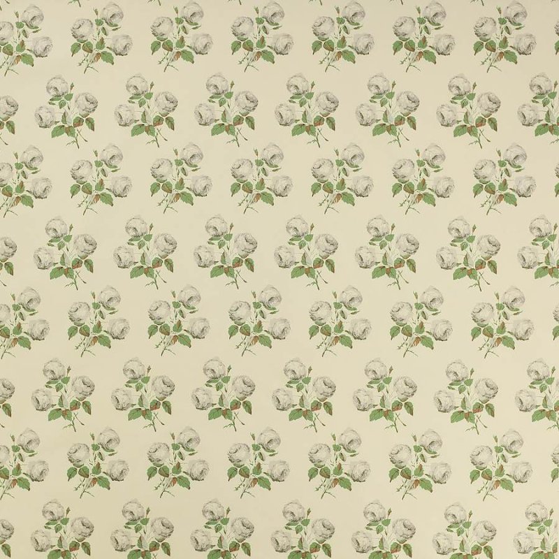 Bowood Chintz von Colefax and Fowler in Green/Grey Chintz