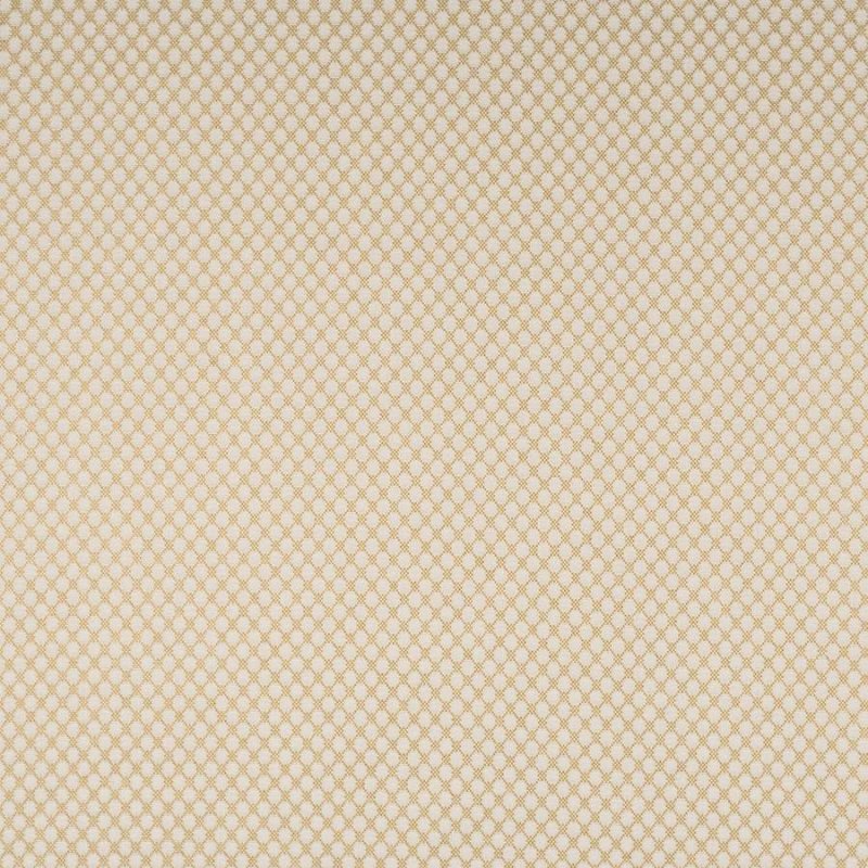 Radnor von Colefax and Fowler in Gold