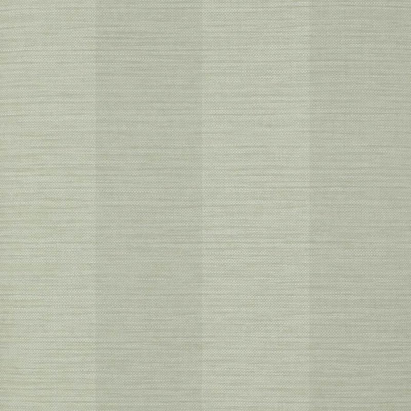 Preview: Appledore Stripe Tapete von Colefax and Fowler in Silver