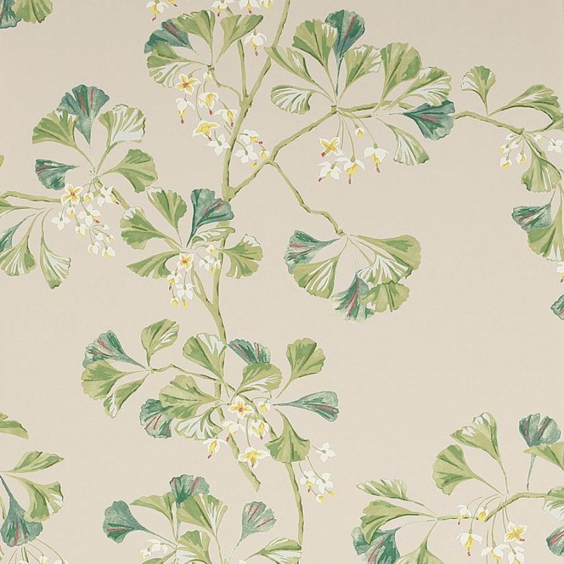 Preview: Greenacre Tapete von Colefax and Fowler in Forest Green