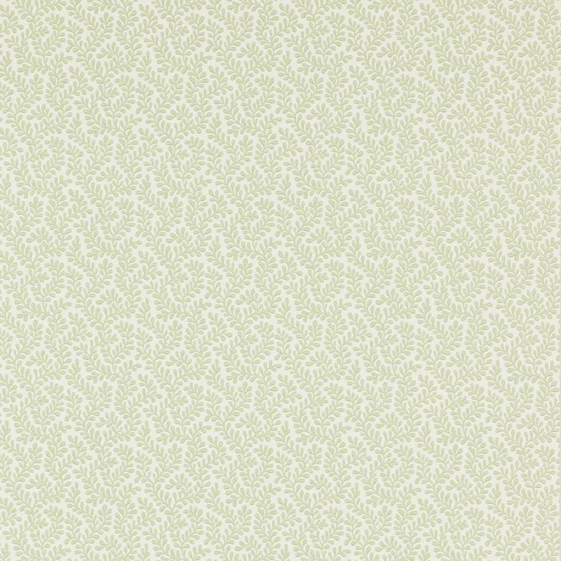 Rushmere Tapete von Colefax and Fowler in Willow Green