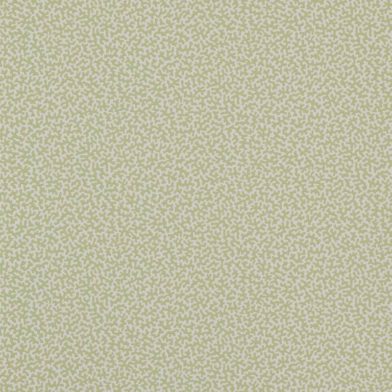 Preview: Wendle Tapete von Colefax and Fowler in Leaf