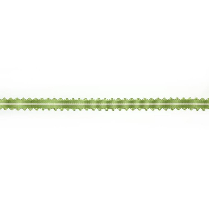 Narrow Picot Braid Mid Green – Picot-Borte von Colefax and Fowler