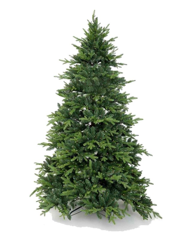 Preview: Weihnachtsbaum Pinus 245 cm von Flamant, unbeleuchtet
