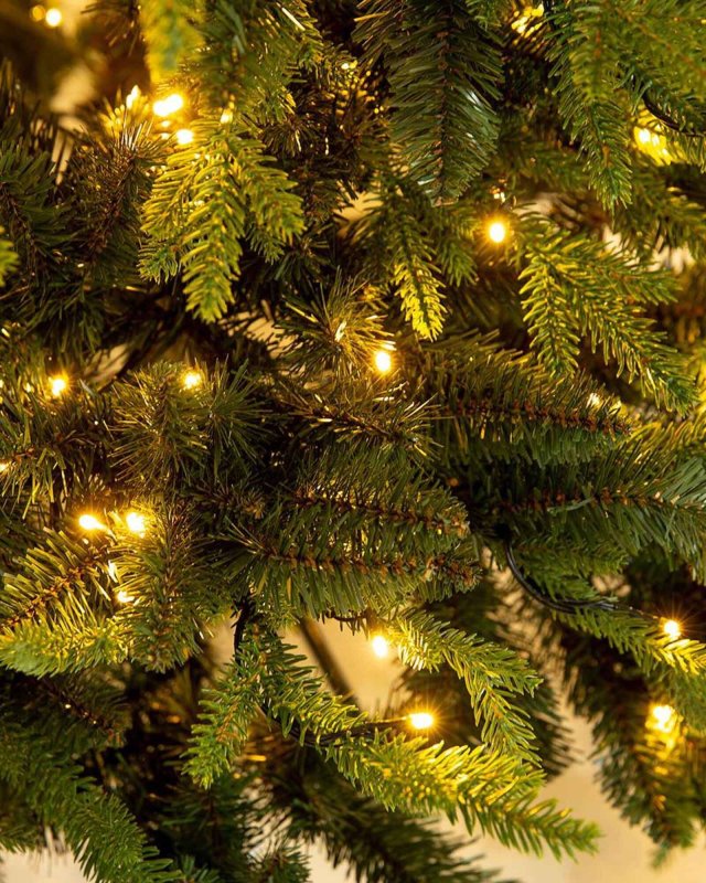 Pinus Zweige mit LED-Licht, Detail