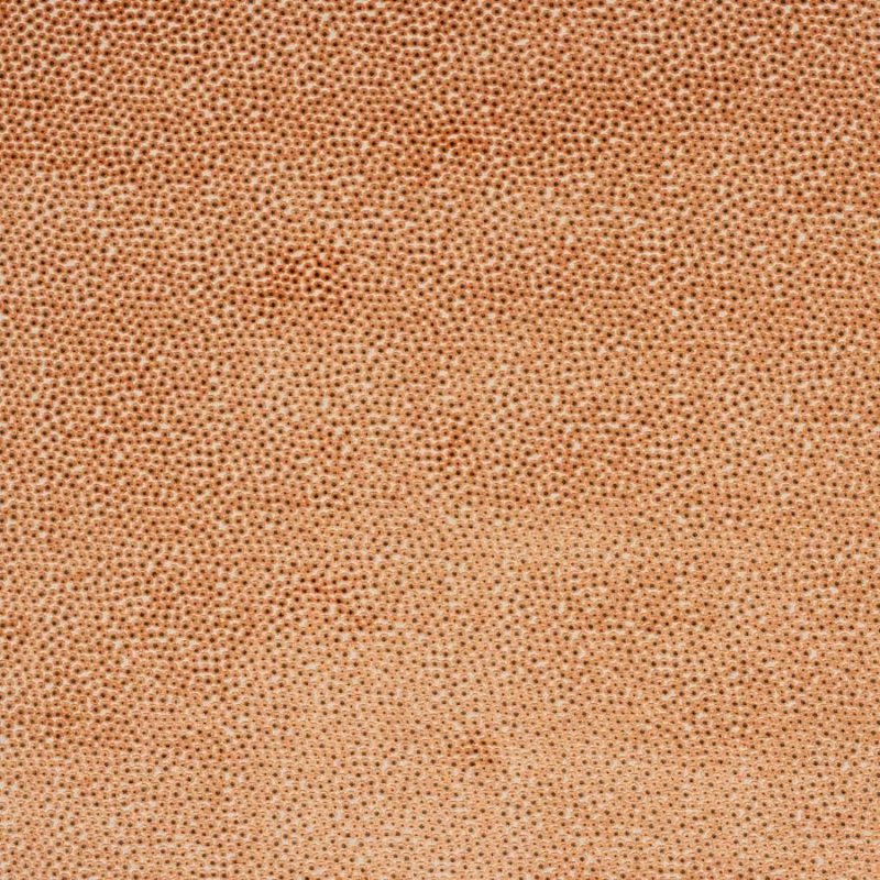 Darwin Orange – Stoff von Jane Churchill