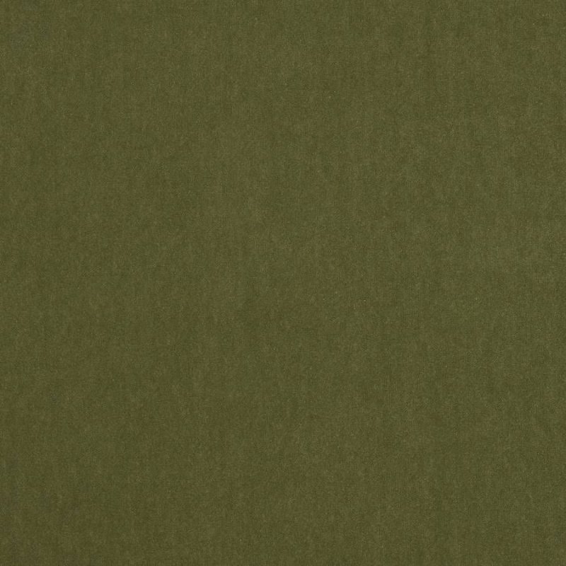 Jane Churchill Emile Polsterstoff in Fern
