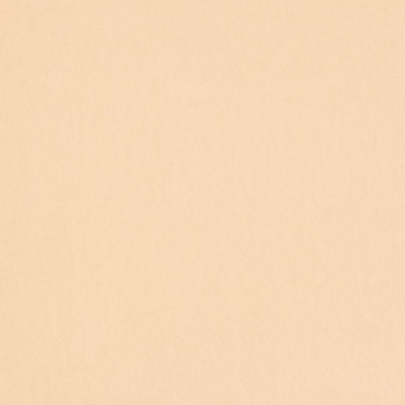 Jane Churchill Emile Polsterstoff in Nude