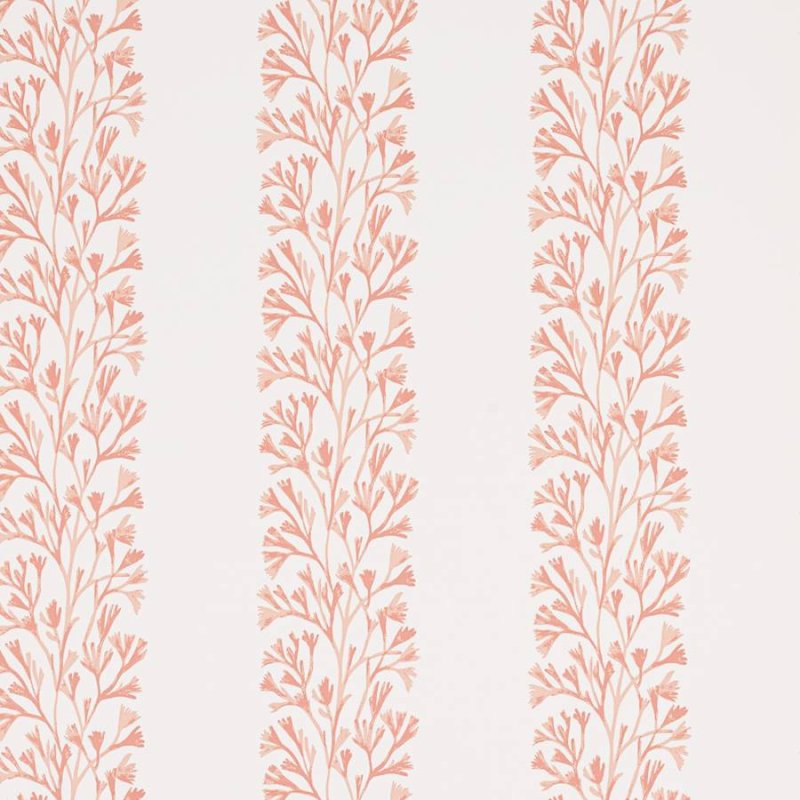 Preview: Dita Tapete von Jane Churchill in Coral