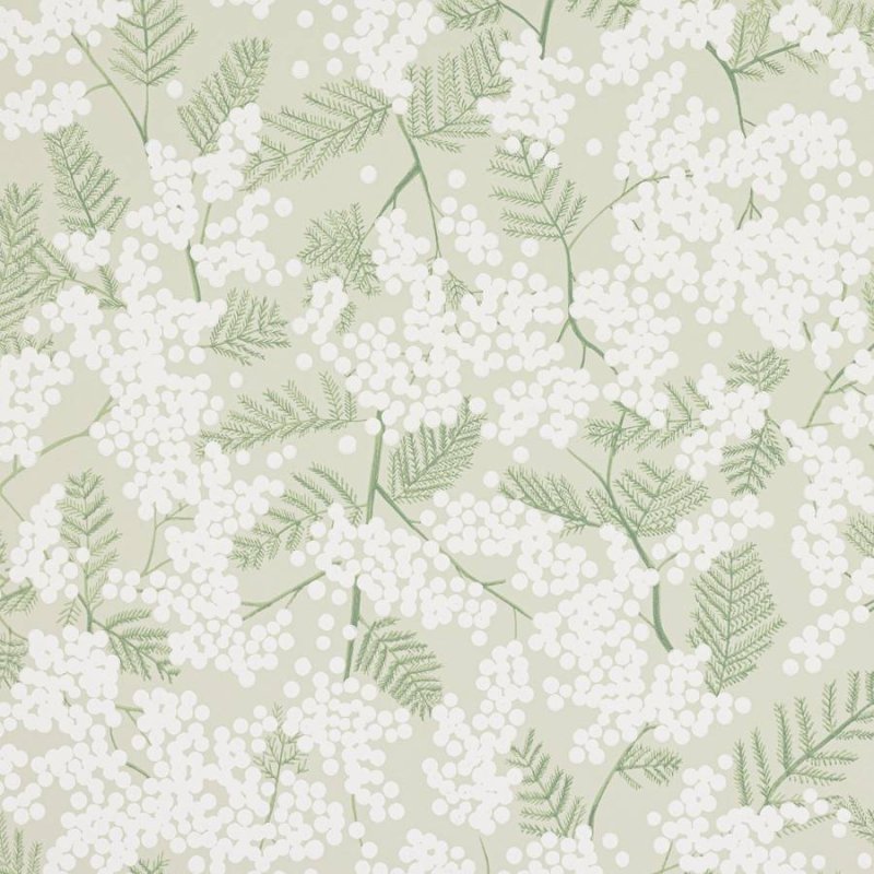 Mimosa Tapete von Jane Churchill in Green