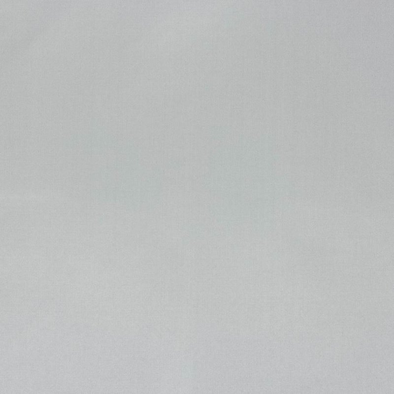 Senso von Larsen in Fog