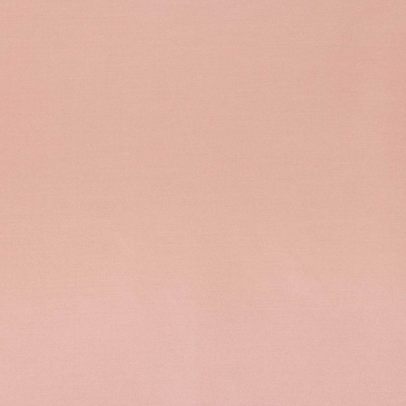 Senso von Larsen in Orchid