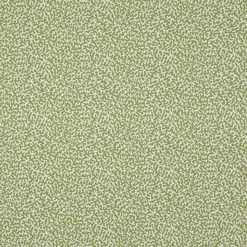 Manuel Canovas Apolline Stoff in Kiwi