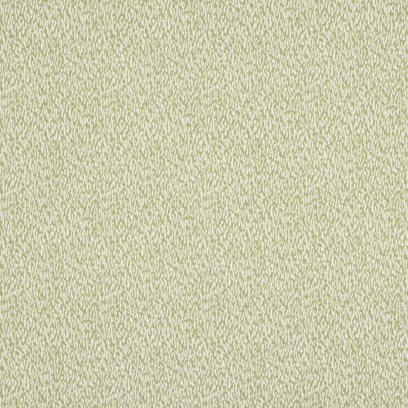 Manuel Canovas Buci Stoff in Prairie