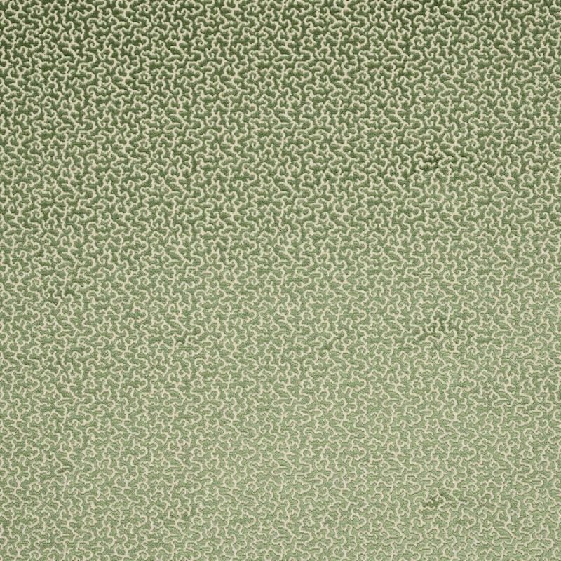 Drago von Manuel Canovas – Samt mit chinesischen Wolken