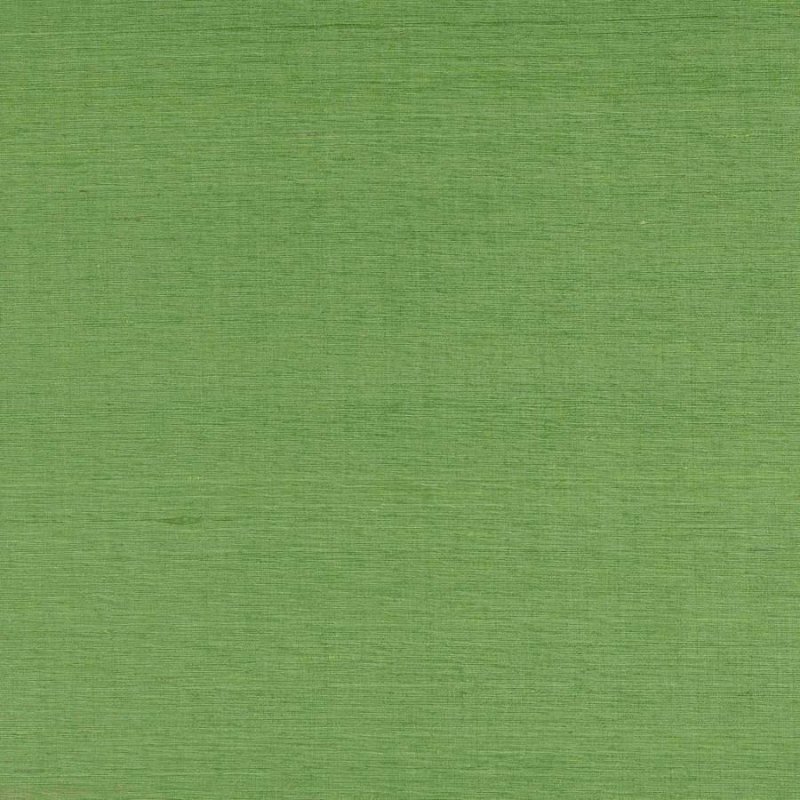 Lazare Kiwi – Stoff von Manuel Canovas
